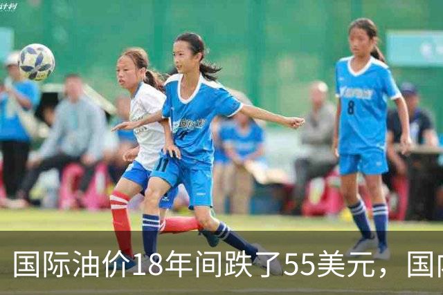 国际油价18年间跌了55美元，国内油价却从5.44元涨到8.58元？